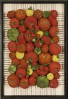 Homegrown Tomatoes by Martina Celerin