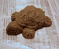 sawdust clay turtle