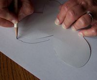 Tracing wing outlines