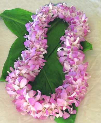 The LEI